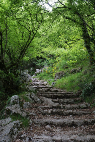 Chemin de pélerinage vers le monastère d'Ostrog