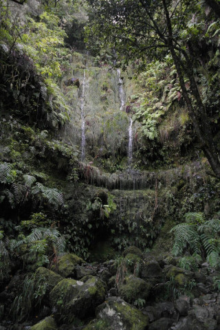 Petites cascades sur le sentier PR9