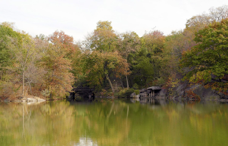 Reflets sur lac de Central Park