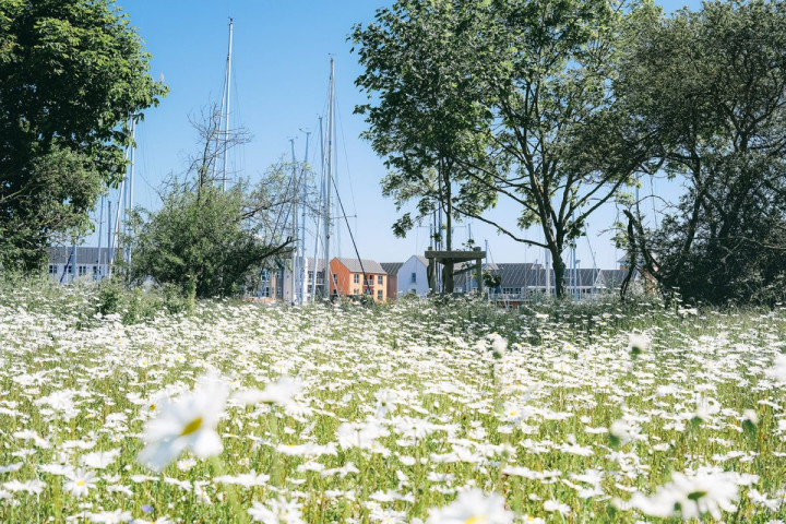 Marina d'Aarhus