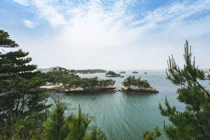 Petites îles de pins