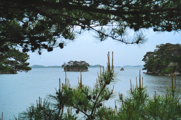Baie de Matsushima depuis les îles d'Urato