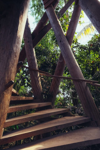 Serre du jardin botanique d'Aarhus