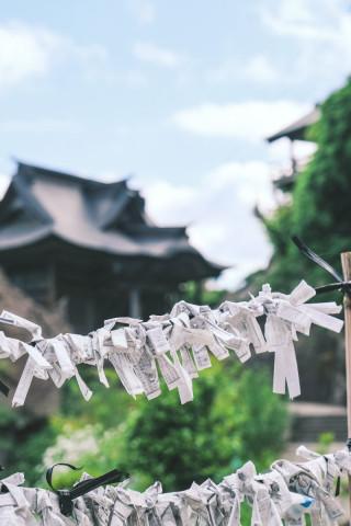 Omikuji accrochés au temple Yamadera