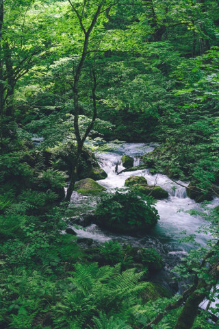 Gorges d'Oirase