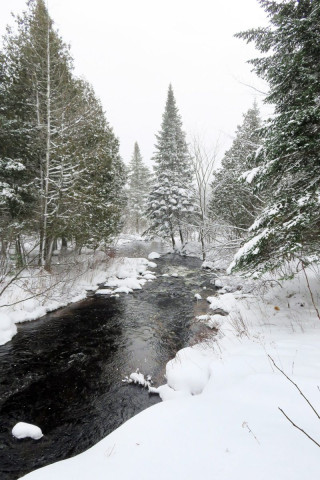 Dans le parc national du Mont Orford