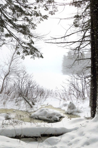 Dans le parc national du Mont Orford