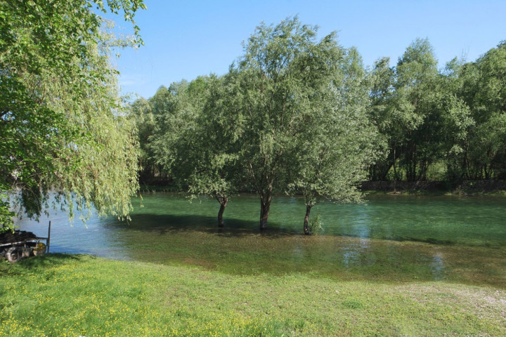 La rivière cristalline de Rijeka Crnojevica