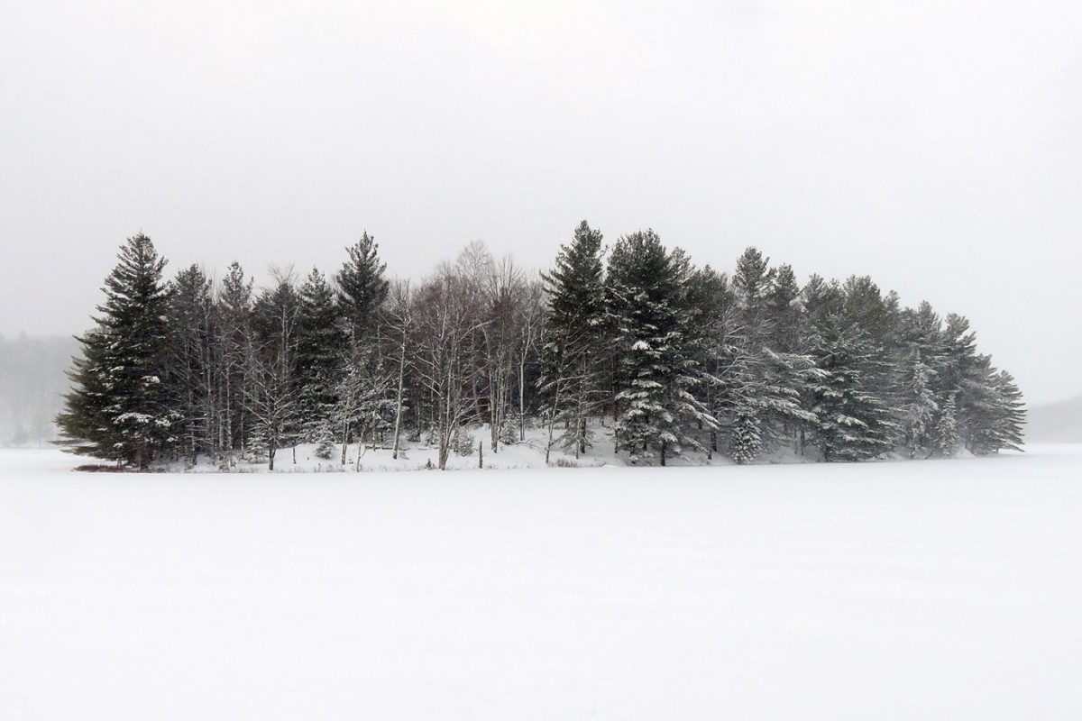 L'île aux arbres enneigés